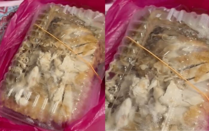 ulat dalam makanan