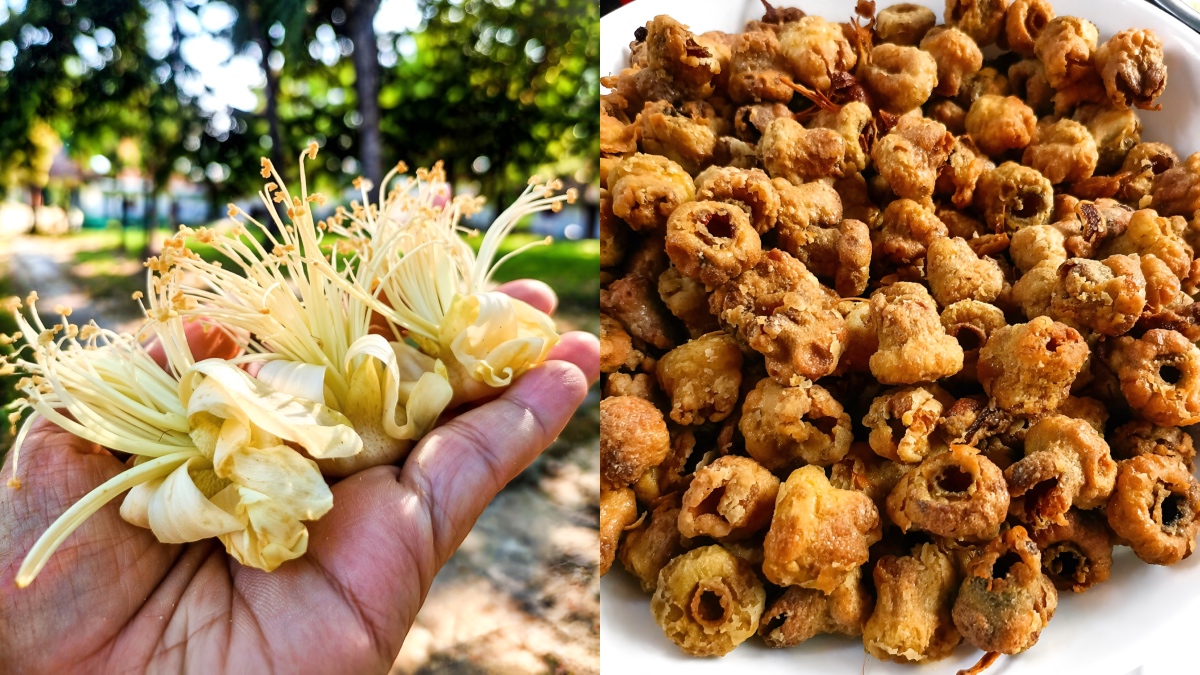 bunga durian goreng