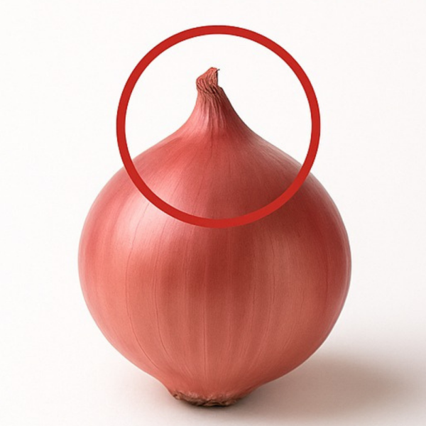 cara pilih bawang merah