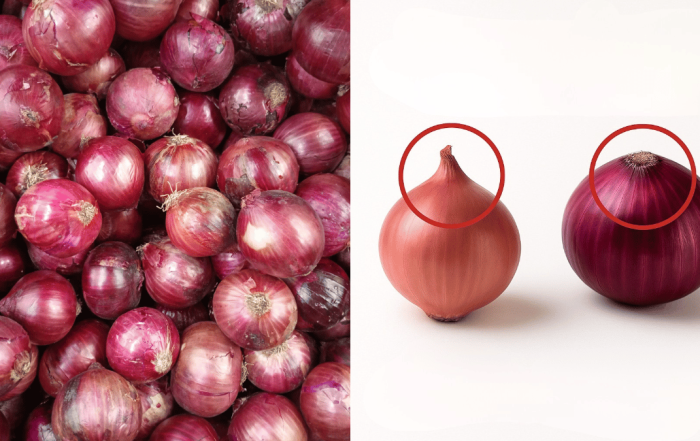 cara pilih bawang merah