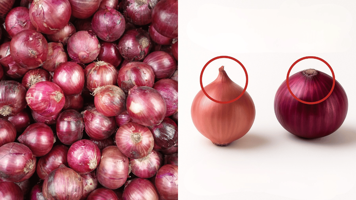 cara pilih bawang merah