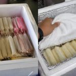 Cara Simpan Aiskrim Malaysia Tak Cepat Cair, Rahsia Peniaga Ini Guna Tahan Lama Sampai Ke Petang!