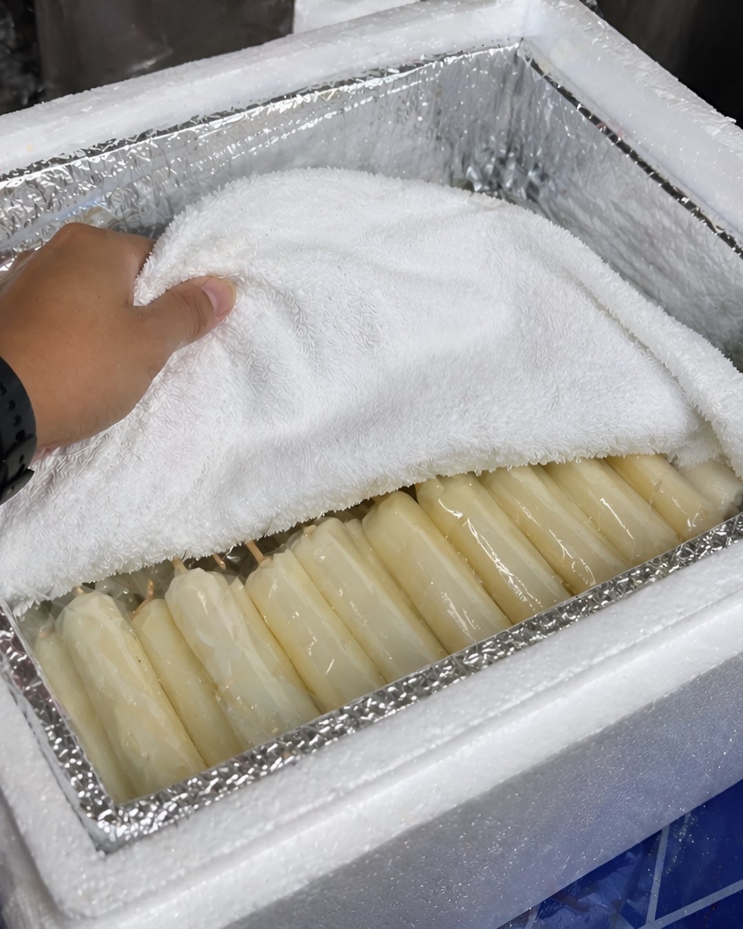 cara simpan aiskrim malaysia