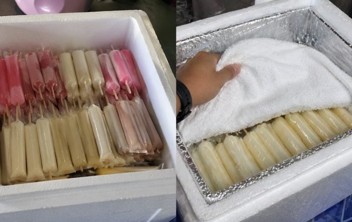 cara simpan aiskrim malaysia