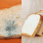 Roti Berkulat Walaupun Belum Expired? Ini Silap Yang Ramai Buat & Cara Betul Simpan!