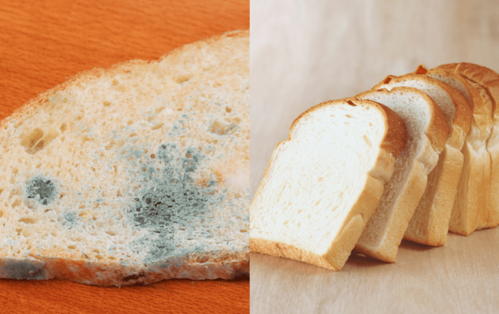 cara simpan roti