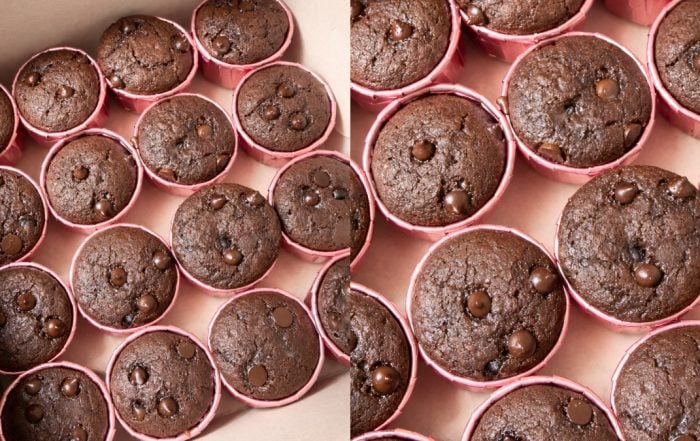muffin coklat chip