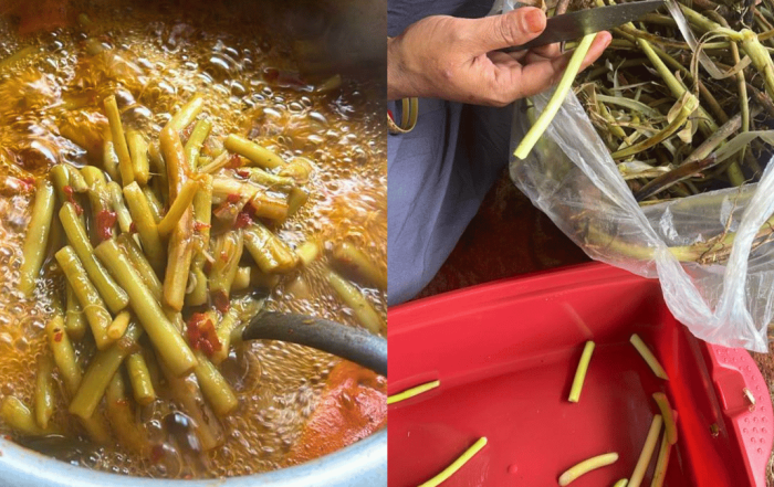 resepi sulur keladi