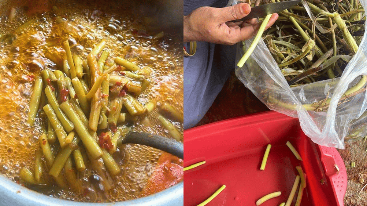 resepi sulur keladi