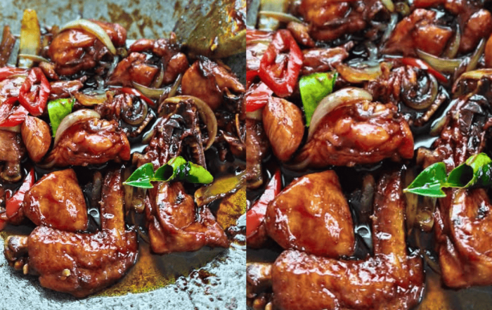 resipi ayam