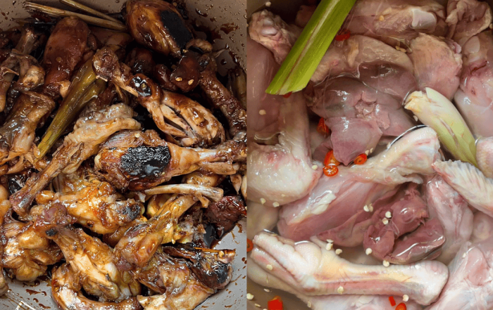 menu ayam