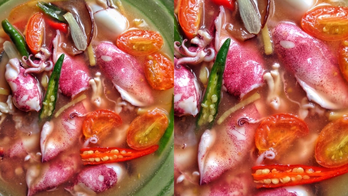 sotong singgang