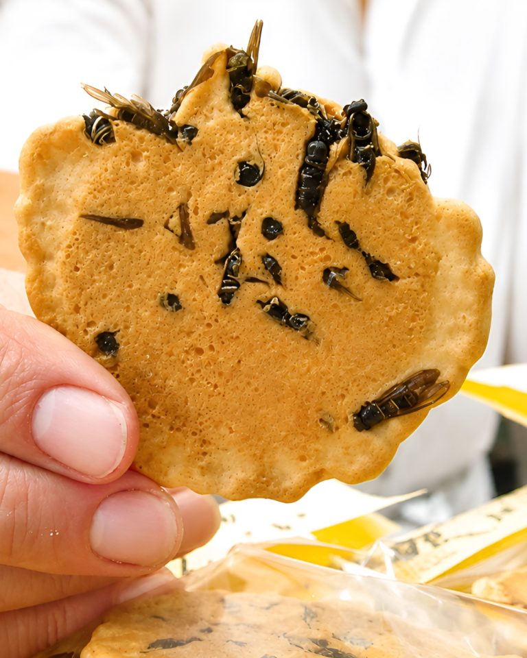 Biskut Jepun Viral Guna Tebuan, Ramai Kata Rasa Macam Kismis Hangus