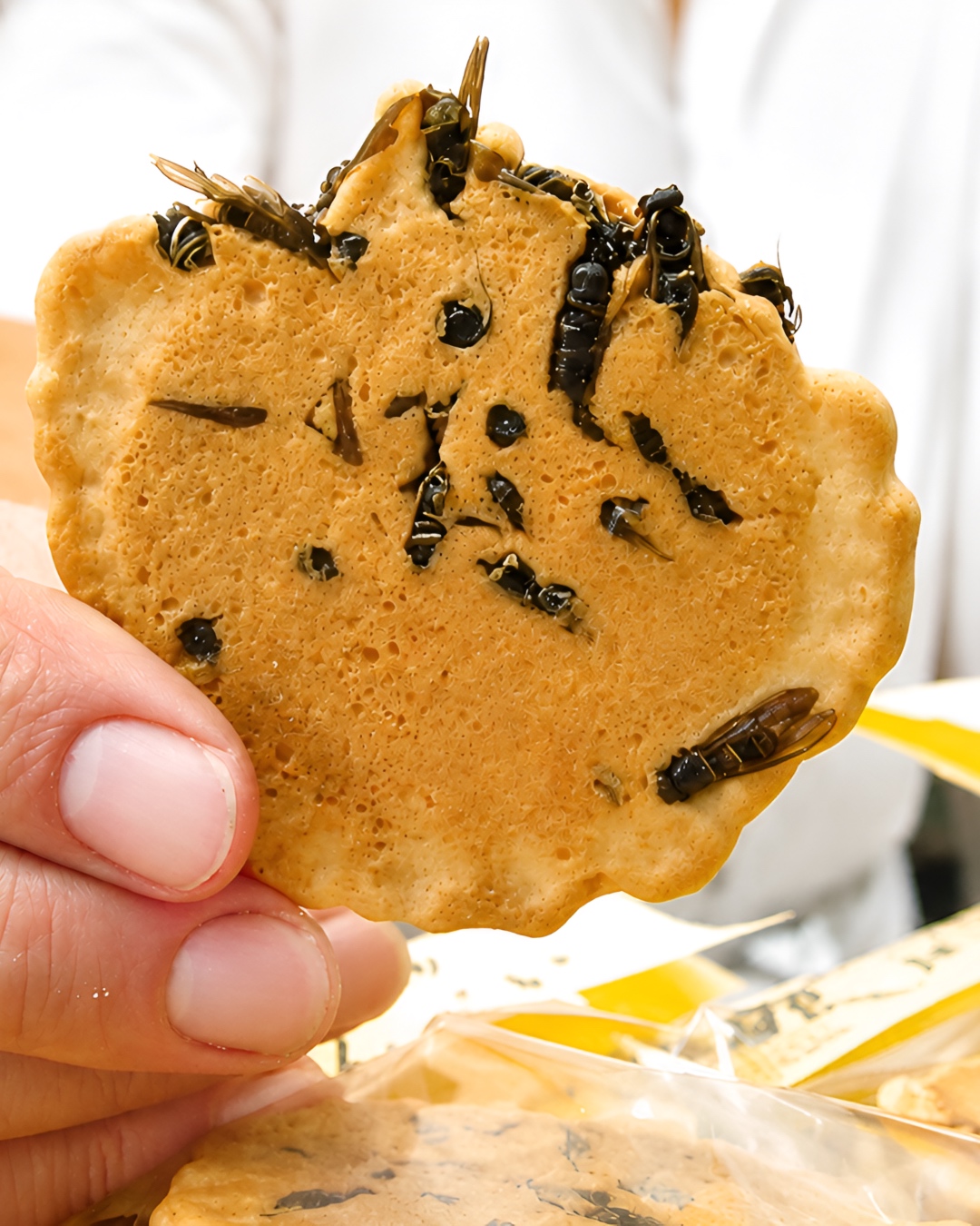 biskut jepun