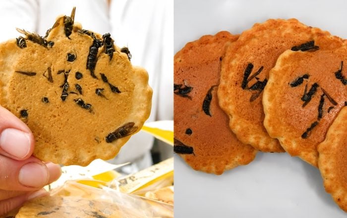 biskut jepun