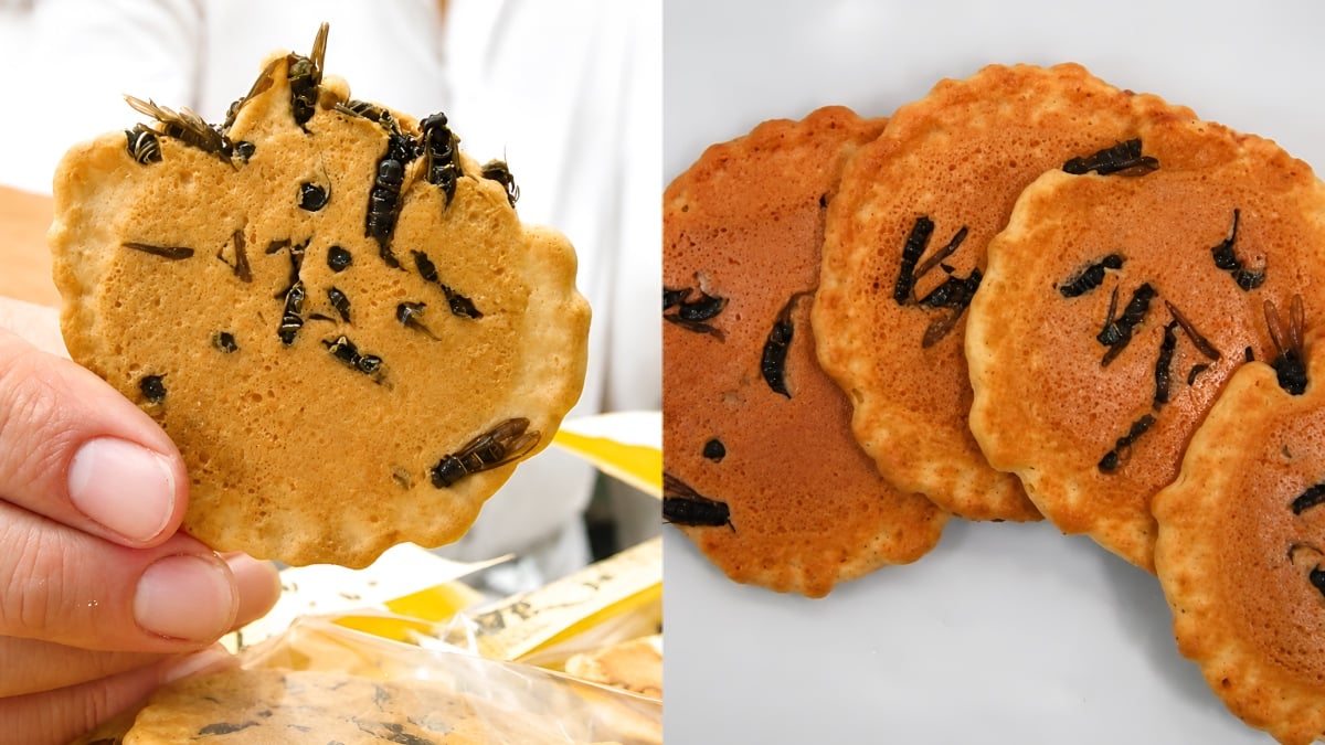 Biskut Viral Guna Tebuan Laris Di Jepun, Ramai Terkejut Bila Rasa Macam Kismis Hangus