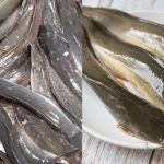 7 Cara Mudah Hilangkan Lendir & Hanyir Ikan Keli, Tak ‘Berperang’ Lagi Bila Tengah Goreng!