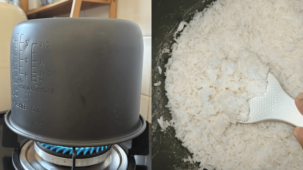 periuk nasi berkulat