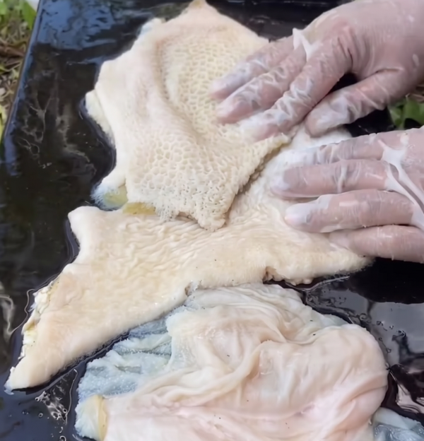 cara cuci perut lembu