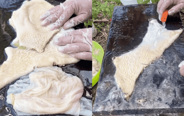 cara cuci perut lembu