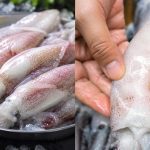 Jangan Main Ambil Je, Rupanya Ini 5 Cara Memilih Sotong Yang Betul-Betul Segar Di Pasar