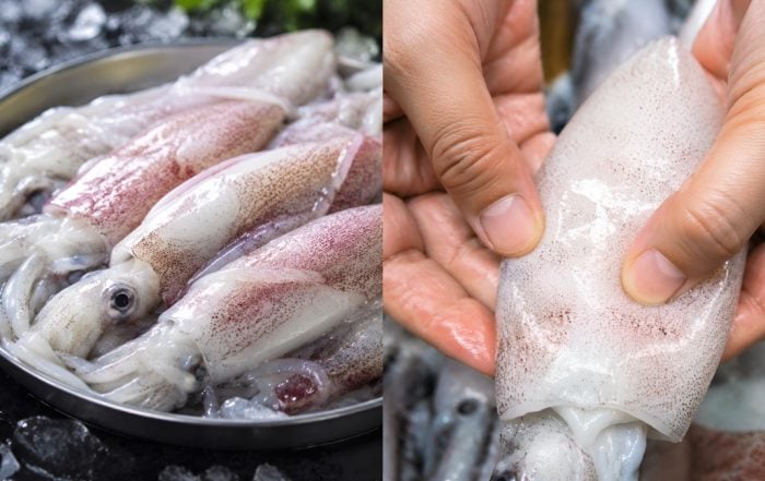 cara memilih sotong segar