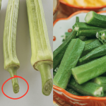 Tip Pilih Bendi Tengok Saiz ‘Lubang Tangkai’, Tak Semua Sesuai Celur & Letak Dalam Masakan Berkuah