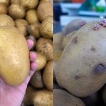 Trik Mudah Pilih Kentang Di Pasar, Confirm Tak Terbeli Yang Dah Rosak & Bertunas
