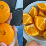 Hanya Perlu Tengok ‘Bahagian Ini’, Rupanya Mudah Sangat Nak Pilih Buah Oren Manis & Berjus!
