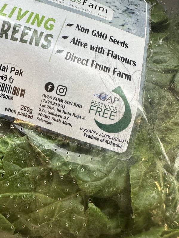 cara pilih sayur