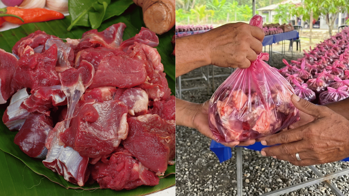 cara simpan daging korban