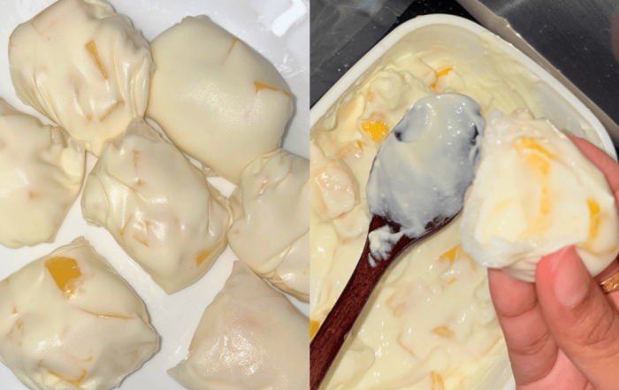 fruit mochi