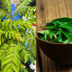 Harga Daun Kari Melonjak Hingga RM18 Sekilo, Rakyat Digalak Tanam Sendiri Di Rumah