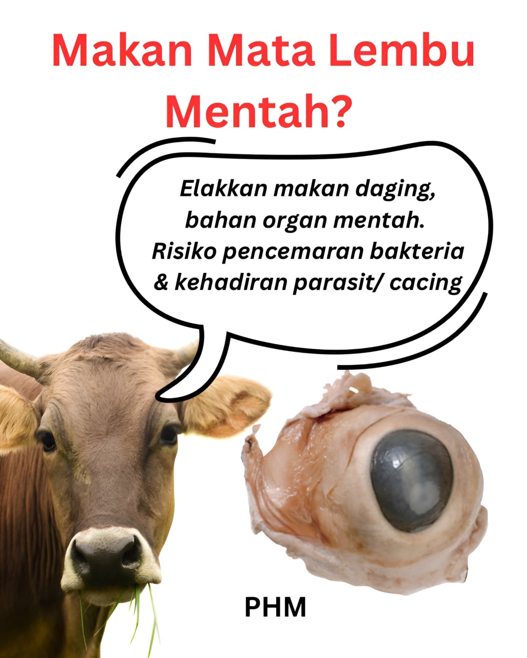 mata lembu