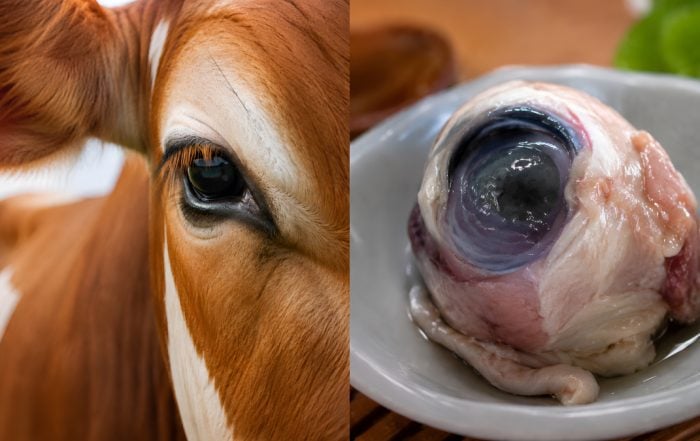 mata lembu