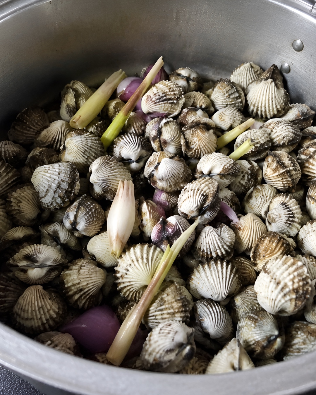 rebus kerang