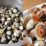 Teknik Rebus Kerang Tanpa Air Rupanya Lagi Sedap, Isi Manis & Tak Mudah Kecut!