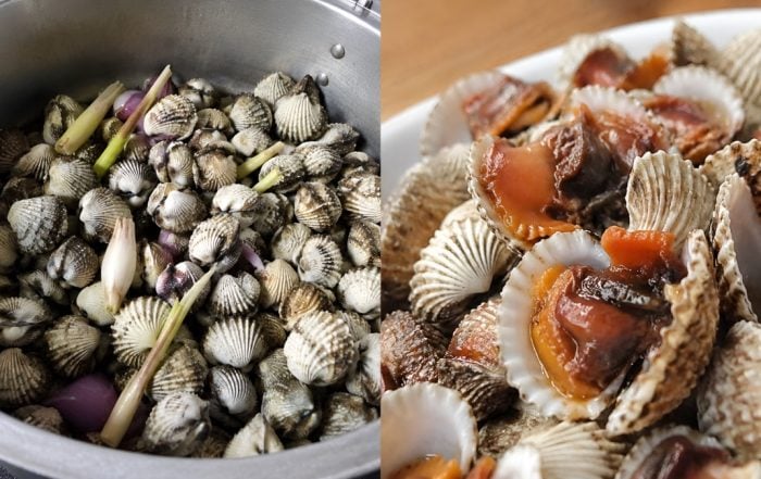 rebus kerang