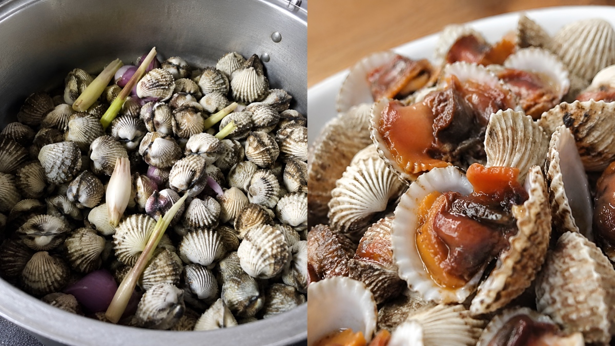 rebus kerang