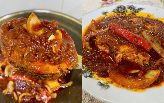 ikan aya