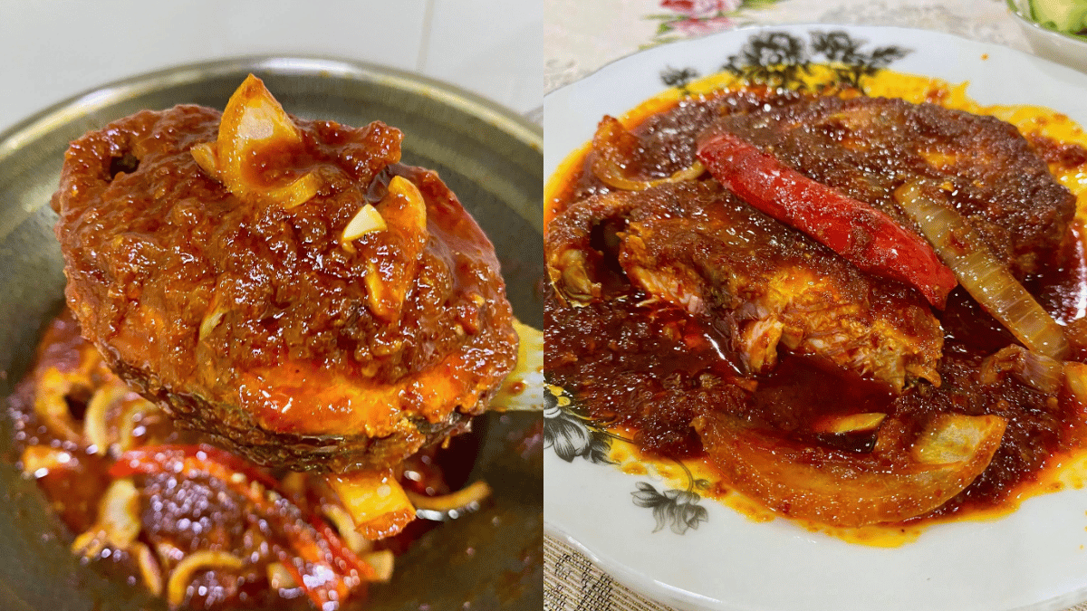 ikan aya