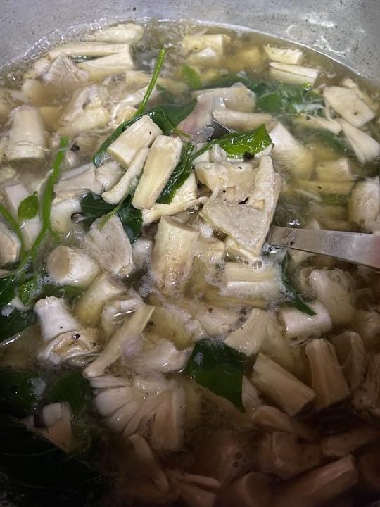 sayur pedas cendawan
