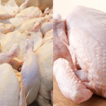 Ayam Nampak Segar Belum Tentu Fresh! Ini Cara Mudah Bezakan Ayam Baharu & Lama Di Pasar