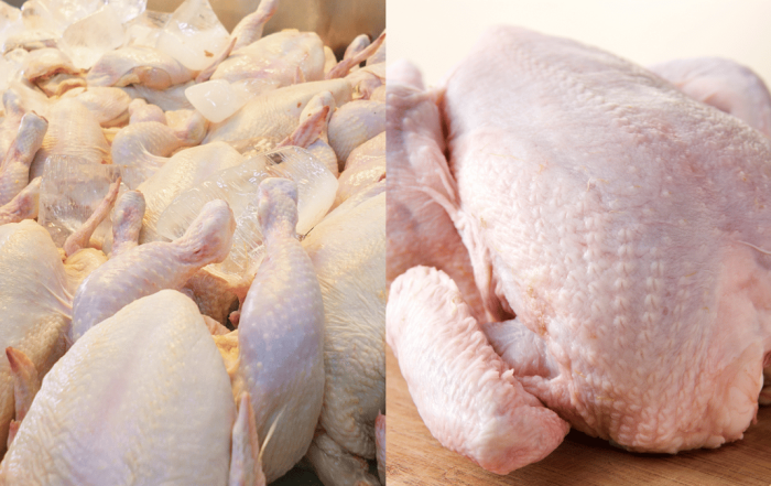 tips pilih ayam segar