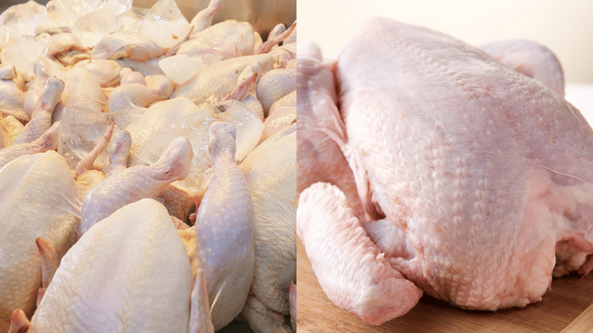 tips pilih ayam segar