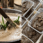 Rupanya Ini Asal-Usul Sebenar Bubur Asyura Yang Ramai Tak Tahu, Wajib Ke Masak Pada 10 Muharam?