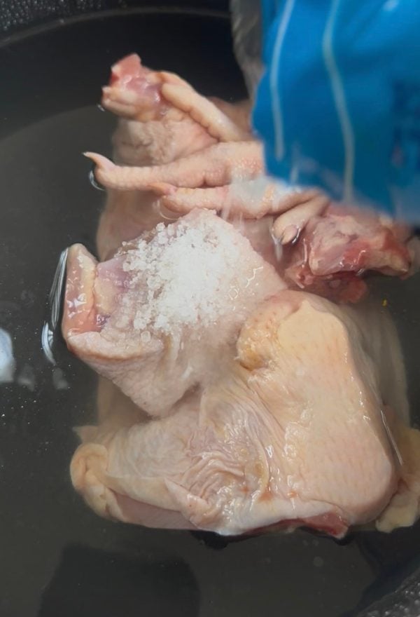ayam frozen