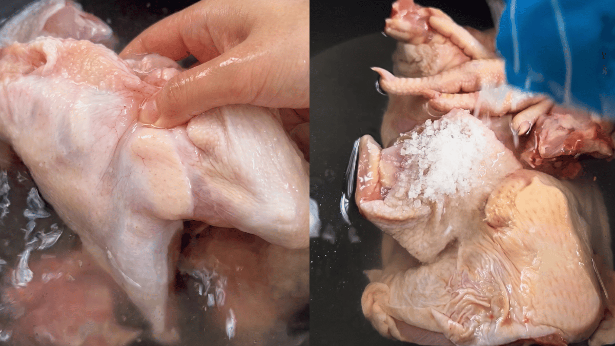 ayam frozen