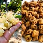 Bunga Durian Goreng Rangup, Cara Paling Mudah Buat Kudapan Sedap Ala Cendawan Goreng