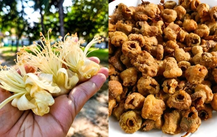 bunga durian